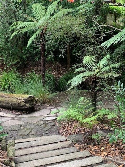 Private Guest Wing - Durie Vale Lodge Whanganui Εξωτερικό φωτογραφία