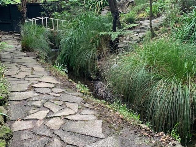 Private Guest Wing - Durie Vale Lodge Whanganui Εξωτερικό φωτογραφία