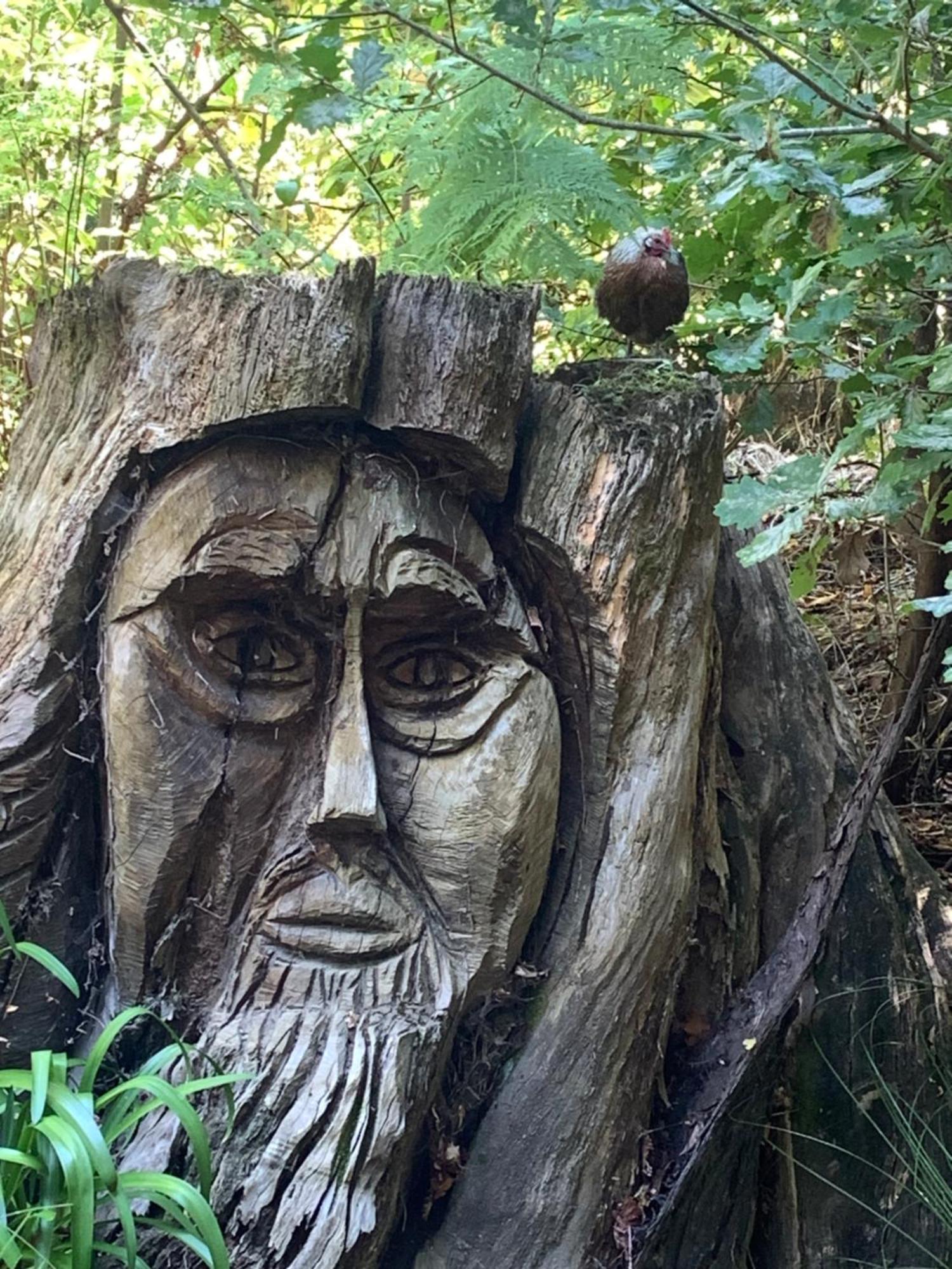 Private Guest Wing - Durie Vale Lodge Whanganui Εξωτερικό φωτογραφία